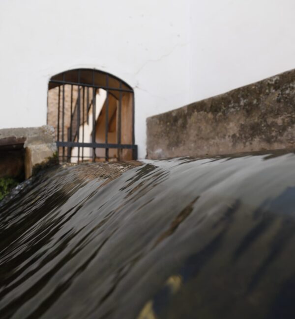 portada 1